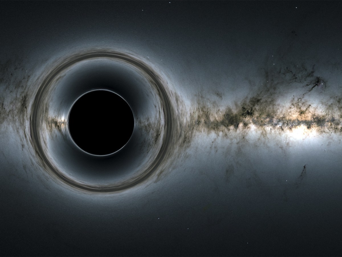 Case Study: Black&nbsp;Holes